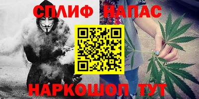 эйфоретик Новозыбков